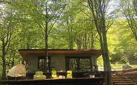 Luxury Lake House & Glamping